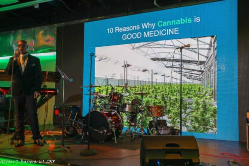 420Party 2018 64